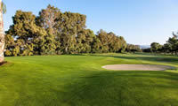 guadalmina  golf club